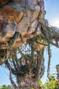 Pandora Ã¢â¬â The World of Avatar at the Animal Kingdom at Walt Disney World